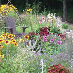 Conserving Water Through Proper Planting