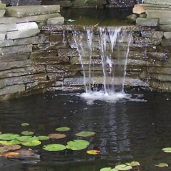 Winter Pond Prep Checklist