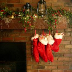 Stuff a Gardener’s Stocking